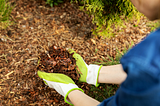 The Magic of Mulch: How to Use Mulch in Your Garden