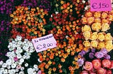 Image shows bunches of predominantly red, orange and yellow flowers in a flower market with pink pricing signs. The roses are 1.50Euro and the Rannunculas are 2Euros.