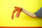 #19 Giving Your Agent Hands: How to Add Skills in OpenClaw