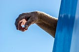aging hand dangling over a blue wall against a clear blue sky