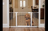 Baby-Gates-For-Dogs-1