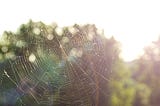 Stuck in the Web of Self Doubt?