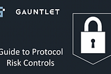 Guide to Protocol Risk Controls