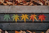 Seasons of Change Leadership