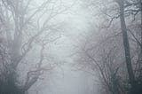 Into the Mist