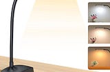 Flexible Clip-On Rechargeable Battery Desk Lamp with Adjustable Brightness | Image