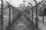The Holocaust Project-Based Learning Overview