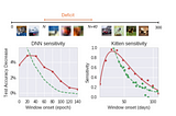 ICLR Optimization papers II