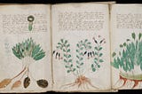 THE MOST MYSTERIOUS SCRIPT ON EARTH
