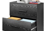 31-69w-2-drawer-wood-lateral-file-cabinet-printer-stand-devaise-black-1