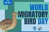 Happy World Migratory Bird Day!