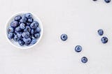 Blueberries and their Role in Preserving Biodiversity