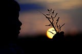 A profile view of a child holding a sprig of wheat against a sunrise backdrop