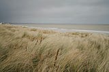 Sand dune vegetation