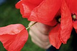The Veteran Handing Out Poppies