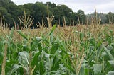 Use XGB’s predict_proba attribute to make predictions on three types of fertiliser