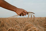 DIFFERENT NAMES AND TITLES OF CROPS — GENERAL AGRICULTURE