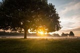 Why it’s the darkest before dawn