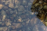 Bathing in Shallow Water
