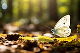 What is the Spiritual Meaning of Seeing a White Butterfly?
