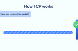 Network Transport Protocols: UDP vs TCP