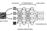 Pinhole Through a Black Box: Demystifying AI with Shapley Additive Explanations