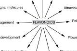 What are the uses of metal ions for plant flavonoids (NP)?