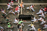 Trumplona: Bulls and BS