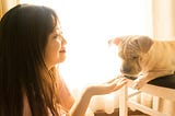 The Ultimate Pet Owner’s Guide: Nurturing a Happy and Healthy Companion