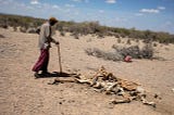 As famine looms over horn of Africa, calls for help fall on deaf ears