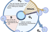 A Microscopic secret of Time & Space