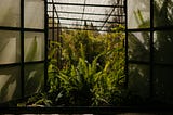 Bringing the outdoors in: architecture that nurtures our connection with nature