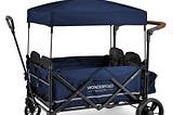 wonderfold-wagon-x4-push-and-pull-quad-stroller-1