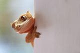The Secret Key to Beating Procrastination With Parkinson’s Law