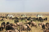 Off-the-Beaten-Path Safaris: Tanzania’s Best Kept Secrets