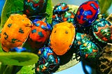 Why are there bugs?