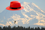 RARACHUTE — Red Hat’s internship parachute