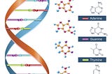 Putting A Magnifying Glass Under Genomics