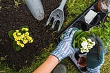 What is Organic Gardening?