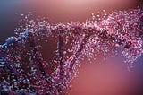 Under the Genome: What I Learned When I Zoomed Into DNA