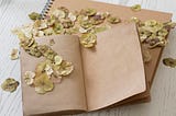 image of an open notebook with dried yellow flower petals