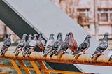 Flutter Pigeon — Support Multiple instance APIs
