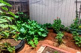 Getting Back to the Garden