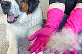 Pet Care Hacks: The Best Tips and Tricks for Grooming Your Furry Friend at Home