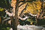 Wedding tables under tree cover