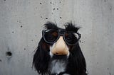 A dog with a glasses face mask on his face, representing incognito mode
