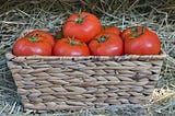 More Potatoes and Now Tomatoes