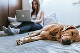 What Your Ideal Side Hustle Should Look Like