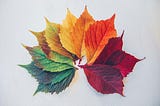 Seasons as Echoes