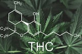 VAD ÄR THC?